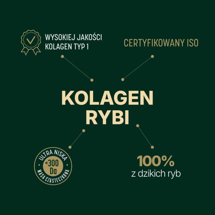KOLAGEN_30_WWW_7.jpg
